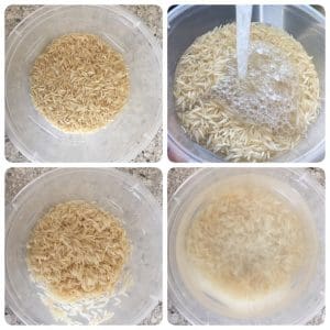 Sprouted moong biryani recipe