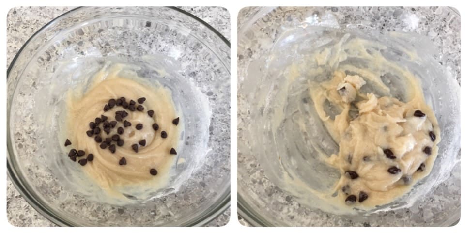 chocolate chip cookie chocolate chip cookie