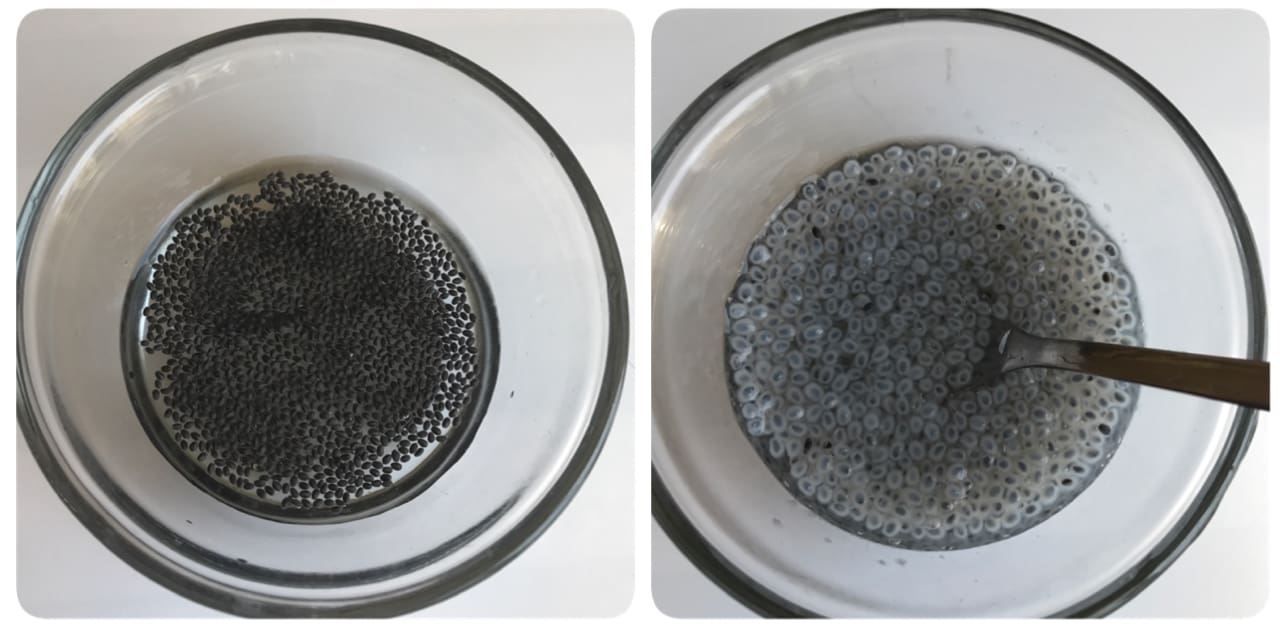 rose falooda popsicle