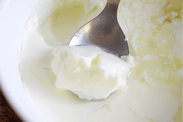 homemade curd, curd