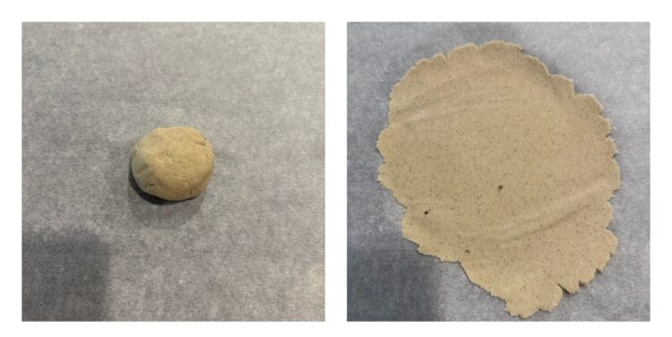 millet tortilla chips