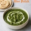 Close-up of aloo palak curry with tender potatoes in spinach gravy, garnished with fresh cream and chilies